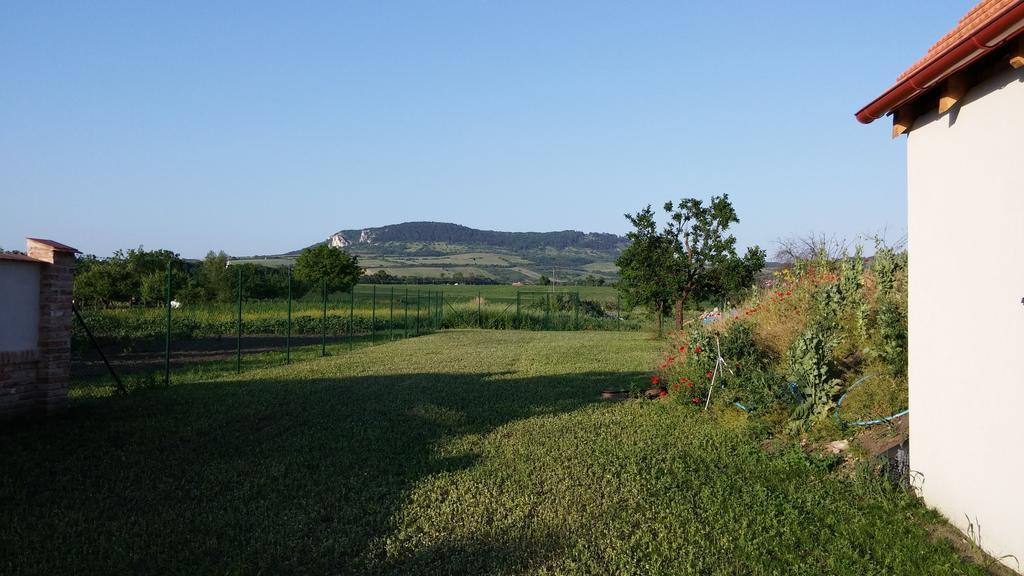 Penzion Dolní Dunajovice Kültér fotó
