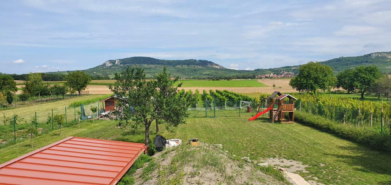 Penzion Dolní Dunajovice Kültér fotó